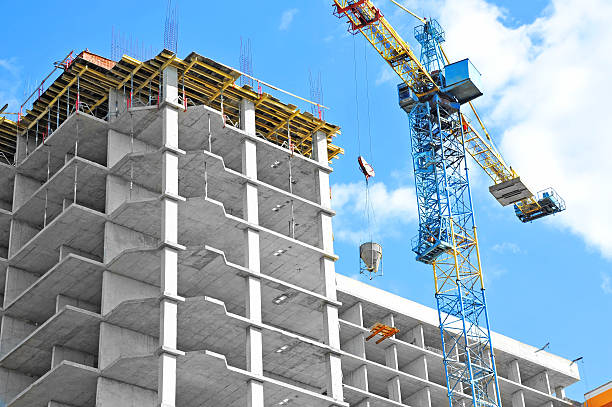 Best Affordable Concrete Contractor  in Collins, MS